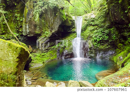 Oshiraji Falls and fresh greenery Oshiraji Falls and fresh greenery 107607961