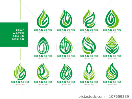 Simple line plant leaf water drop logo design bundle 107609289