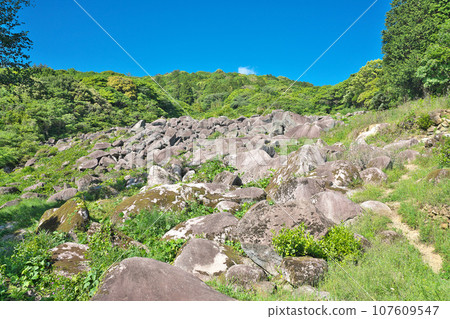 [Oiwago in Makura] Oiwago, Nishiyoshibe, Ube City, Yamaguchi Prefecture 107609547