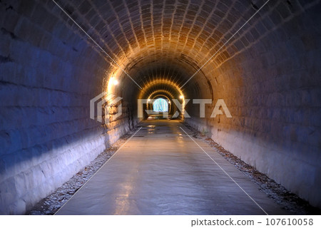 Izu Peninsula/Naka-Izu/Izu dancers' stage, inside the old Amagi Tunnel (Amagi Mountain Tunnel)/Kawazu Town/Izu Town, Shizuoka Prefecture (3) Izu Peninsula/Naka-Izu/Izu dancers' stage, inside the old Amagi Tunnel (Amagi Mountain Tunnel)/Kawazu Town/Izu Town, Shizuoka Prefecture (3) 107610058