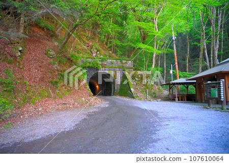 Izu Peninsula, Nakaizu, Izu City side of the former Amagi Tunnel (Amagi Mountain Tunnel), view of the north exit garden, Kawazu Town, Shizuoka Prefecture/Izu Town (1) Izu Peninsula, Nakaizu, Izu City side of the former Amagi Tunnel (Amagi Mountain Tunnel), view of the north exit garden, Kawazu Town, Shizuoka Prefecture/Izu Town (1) 107610064