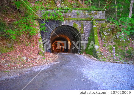 Tourists walking through the Izu Peninsula, Nakaizu, and the former Amagi Tunnel to experience Izu dancers/Kawazu Town/Izu Town, Shizuoka Prefecture (1) Tourists walking through the Izu Peninsula, Nakaizu, and the former Amagi Tunnel to experience Izu dancers/Kawazu Town/Izu Town, Shizuoka Prefecture (1) 107610069