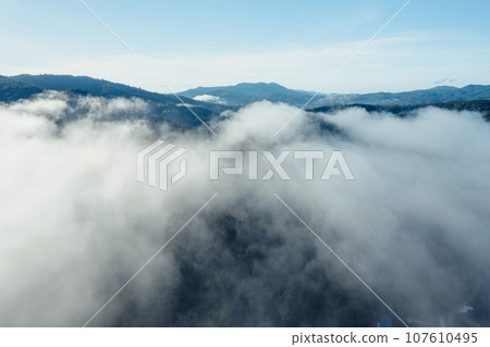 Fog and mountains in the morning forest Fog and mountains in the morning forest 107610495