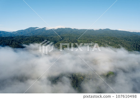Fog and mountains in the morning forest 107610498