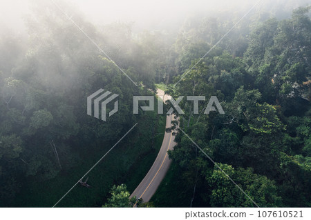 Road in the green forest in the morning Road in the green forest in the morning 107610521