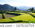 高千穗峽谷的壯麗景色“栃俁梯田” 107610759