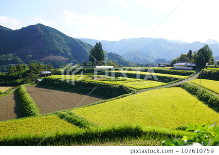 高千穗峽谷的壯麗景色“栃俁梯田” 107610759
