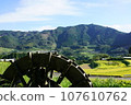 高千穗峽“栃俁梯田” 107610762