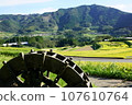 高千穗峽「栃俁梯田」的絕景 107610764