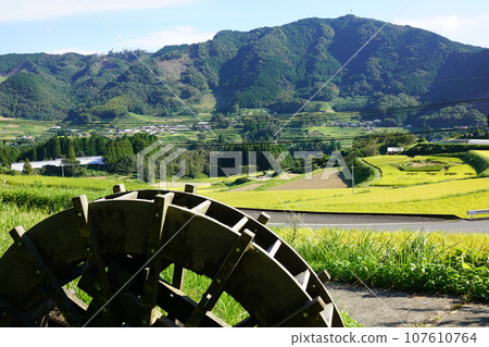 Takachiho Gorge “Tochimata Rice Terraces” Spectacular View 107610764