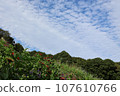 里山花園節散步2023 107610766