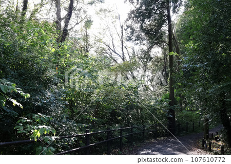 里山花園節散步2023 107610772