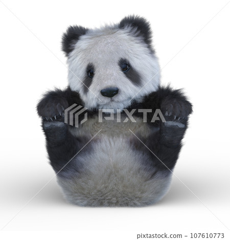 大熊貓 107610773