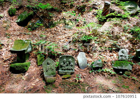 安宮神社、石佛群、信州的神社寺廟 安宮神社、石佛群、信州的神社寺廟 107610951