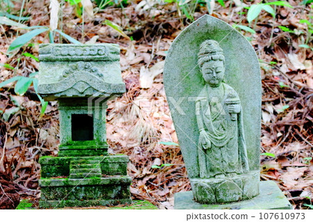 安宮神社、石佛群、信州的神社寺廟 107610973