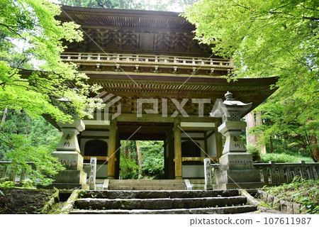 南足柄市大雄山西成寺的三門和參道 107611987