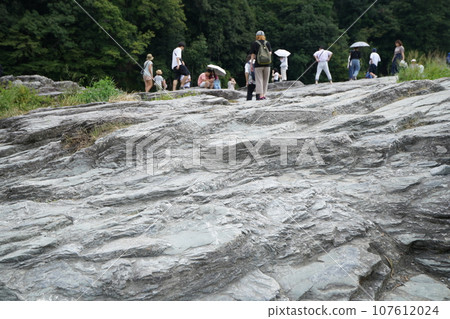 [埼玉縣] 秩父郡長瀞町 107612024
