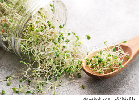 Microgreens grown in a jar. Microgreens grown in a jar. 107612812