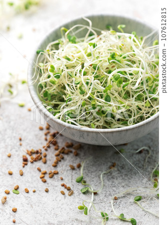 Microgreens grown in a jar. 107612815