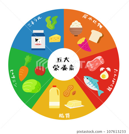 Pie chart illustration material of various foods with nutrients, proteins, carbohydrates, lipids, minerals, and vitamins Pie chart illustration material of various foods with nutrients, proteins, carbohydrates, lipids, minerals, and vitamins 107613233