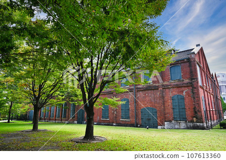 Noritake's forest 107613360