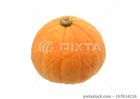 pumpkin white background 107614216