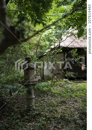 Takeoso Takeoso 107614465