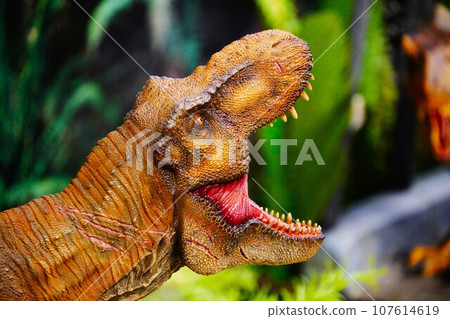 Dinosaurs (Tyrannosaurus) Dinosaurs (Tyrannosaurus) 107614619