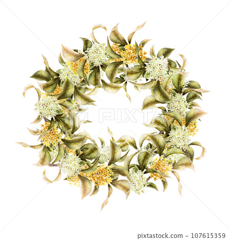 Wreath-style frame of osmanthus and osmanthus Wreath-style frame of osmanthus and osmanthus 107615359