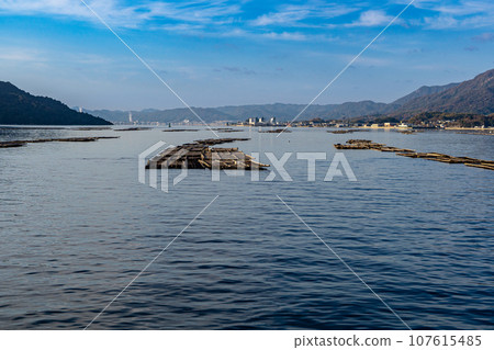 陽光明媚的冬日,從開往宮島和大竹町的渡輪上看到的牡蠣筏 1 廣島縣廿日市市 陽光明媚的冬日,從開往宮島和大竹町的渡輪上看到的牡蠣筏 1 廣島縣廿日市市 107615485