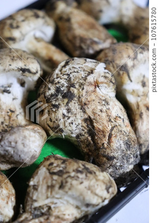 松茸蘑菇保存方法 瓦罐蒸煮 湯 秋季食慾 松茸採摘 秋季風味 箔紙烤 壽喜燒 奢侈品 107615780