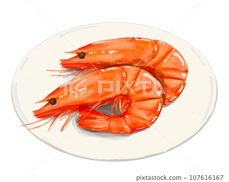 Shrimp Shrimp Shrimp Osechi New Year New Year Happy New Year New Year's Card Lucky Charm Illustration New Year Plate White Plate White Shrimp Shrimp Shrimp Osechi New Year New Year Happy New Year New Year's Card Lucky Charm Illustration New Year Plate White Plate White 107616167