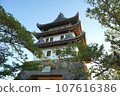 Sumoto Castle 107616386