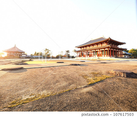 Kofukuji Temple in the sunset ``Japanese style image'' (Nara) 107617503