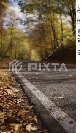 Slow motion handheld shot of autumn forest road Slow motion handheld shot of autumn forest road 107617683