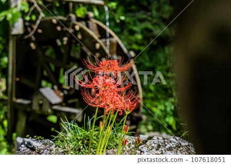 日龍賓寺和高澤觀音寺院內的景色,這座寺廟擁有北條雅子捐贈的寶塔 日龍賓寺和高澤觀音寺院內的景色,這座寺廟擁有北條雅子捐贈的寶塔 107618051