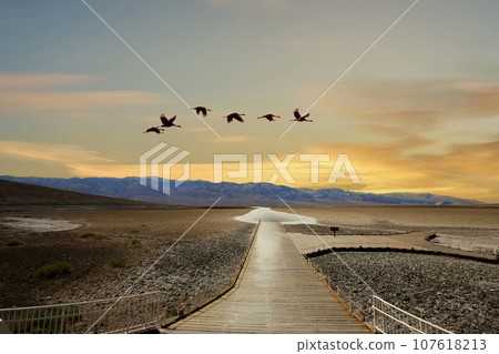 Badwater viewpoint, death valley, california, usa Badwater viewpoint, death valley, california, usa 107618213