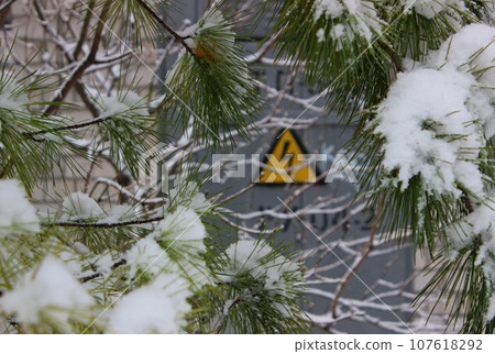 A Triangular High Power Sign Is Visible Through Snow Cap On Pine Tree Branches A Triangular High Power Sign Is Visible Through Snow Cap On Pine Tree Branches 107618292
