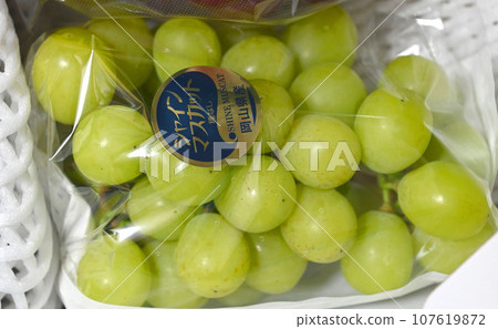 Shine Muscat 107619872