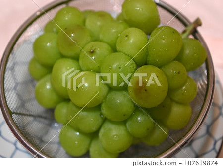 Shine Muscat Shine Muscat 107619874