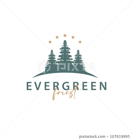 Forest Logo, Vector Forest Wood With Pine Trees, Design Inspirational Badge Label Illustration Forest Logo, Vector Forest Wood With Pine Trees, Design Inspirational Badge Label Illustration 107619995