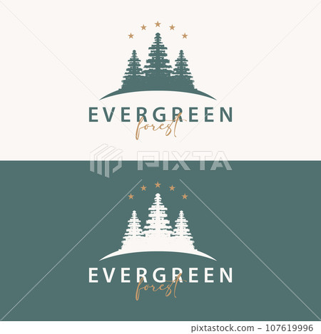 Forest Logo, Vector Forest Wood With Pine Trees, Design Inspirational Badge Label Illustration Forest Logo, Vector Forest Wood With Pine Trees, Design Inspirational Badge Label Illustration 107619996