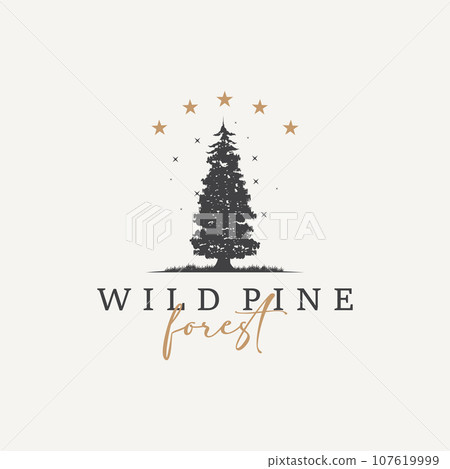 Forest Logo, Vector Forest Wood With Pine Trees, Design Inspirational Badge Label Illustration Forest Logo, Vector Forest Wood With Pine Trees, Design Inspirational Badge Label Illustration 107619999