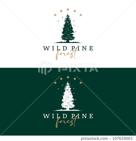 Forest Logo, Vector Forest Wood With Pine Trees, Design Inspirational Badge Label Illustration Forest Logo, Vector Forest Wood With Pine Trees, Design Inspirational Badge Label Illustration 107620001