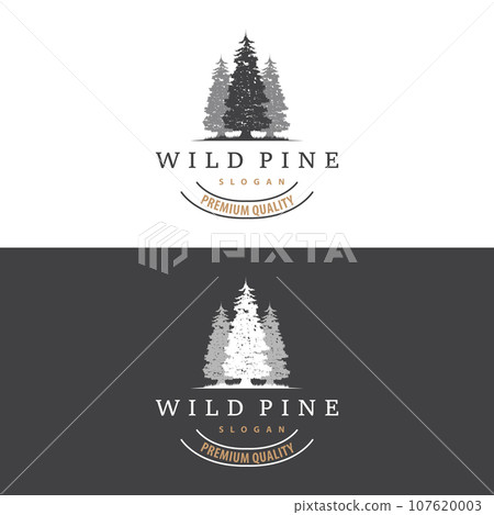 Forest Logo, Vector Forest Wood With Pine Trees, Design Inspirational Badge Label Illustration Forest Logo, Vector Forest Wood With Pine Trees, Design Inspirational Badge Label Illustration 107620003