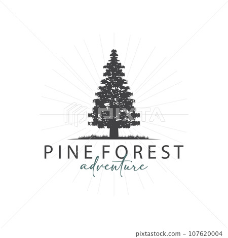Forest Logo, Vector Forest Wood With Pine Trees, Design Inspirational Badge Label Illustration Forest Logo, Vector Forest Wood With Pine Trees, Design Inspirational Badge Label Illustration 107620004