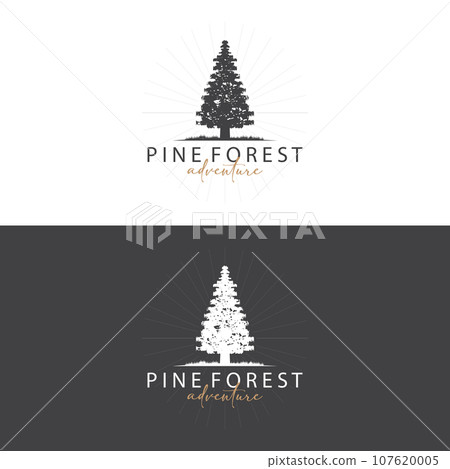 Forest Logo, Vector Forest Wood With Pine Trees, Design Inspirational Badge Label Illustration Forest Logo, Vector Forest Wood With Pine Trees, Design Inspirational Badge Label Illustration 107620005