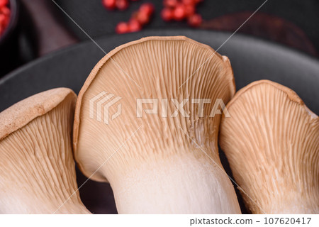 Pleurotus eryngii mushrooms on a dark concrete background 107620417