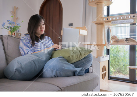 pet lover concept by asian woman she work and play with her cat pet lover concept by asian woman she work and play with her cat 107620567