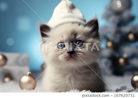 Christmas image with a cat wearing a knitted hat Generative ai 107620731